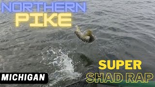 Rapala Super Shad Rap Casting for Northern Pike in Michigan