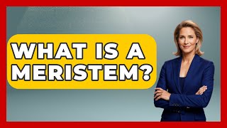 What Is A Meristem? - The Plant Enthusiast