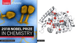 The 2018 Nobel Prize in Chemistry: Directed evolution & phage display — Speaking of Chemistry