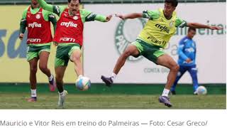 PALMEIRAS BUSCA ATACANTE PARA 2025