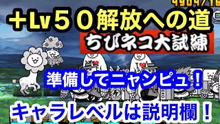 にゃんこ ＋Lv50解放への道 準備してニャンピュ！ちびネコ大試練 にゃんこ大戦争 ユーザーランク23182 キャラレベルは説明欄に