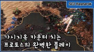 모든 게 완벽했던 프로토스의 저그전 정석 플레이 + 완벽한 가시지옥 상대법