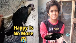 Hmara Piyara Happy expire ho gea 😭| Mera Zoo