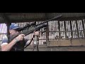 Feral Pigeon Control Wolverine R  177 Alpex 4K.