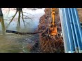 789Club | Beaver Dam Removal with Excavators | Awesome Floods & Dredging Compilation | Breaking