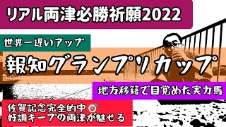 報知グランプリカップ 2022 この馬で正解！先行力復活＆切れ味を完備した実力馬がこの舞台で開花だ！