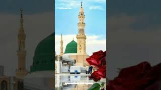 New Naat Status 2022 | Beautiful Islamic Status | Latest New Naat Whatsapp Status | New Latest Naat