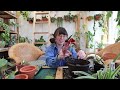 repotting a bunch of houseplants for spring