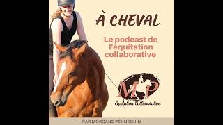 100. 3 trucs pour déterminer si ton cheval ne fait pas pas parce qu'il a mal ou ne veut pas faire