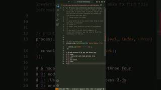 javascript - How do I pass command line arguments to a Node.js program and receive them?