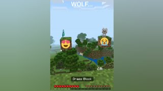 how to protect your dog in Minecraft #shorts