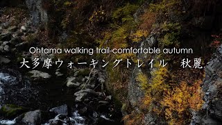 大多摩ウォーキングトレイル 秋麗　Ohtama walking trail-comfortable autumn　＃鳩ノ巣渓谷 #白丸湖 #紅葉 #beautiful #nature #japan