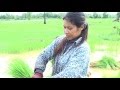 rice transplantation, Cambodian farmers' life