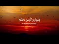 Daily Quran Dose with a  Soul Connecting Recitation by Abdul Rahman Mossad