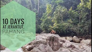 Vlog #05 - Jerantut Taman Negara (Pahang, Malaysia)