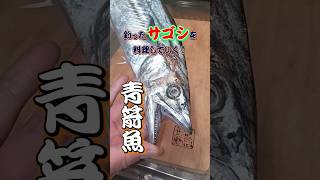 釣ったサゴシを料理していく！　 #fishing #釣り #魚 #shortvideo #料理 #サゴシ #美味い #塩焼き #釣魚