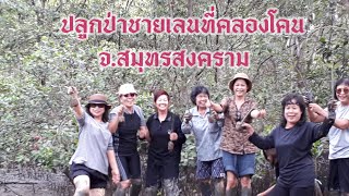 ภูทัวร์นำสมาชิกปลูกป่าชายเลนที่คลองโคน จ.สมุทรสงคราม