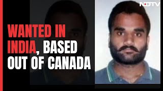 India Canada News | India's Most Wanted Hiding In Canada