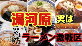 湯河原でラーメン8店舗食べ歩き‼️撮影NG店舗、予約のみ店舗……#飯田商店【食いしん坊放浪記】