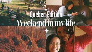 Cozy Weekend Getaway in Quebec 🌲 | Exploring Charming Towns, Coffee Shops, & Nature Escapes 🍂