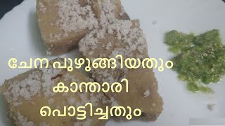 Boiled Elephant foot Yam | ചേന പുഴുങ്ങിയത് | Chena Puzhungiyathu kanthari pottichath