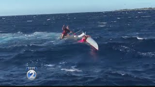 Canoe paddler lucky to be alive after whale smacks him into ocean