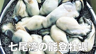 【旬の美味しさにこだわる旬すぐ（国産100％）】（石川県七尾市）旨味が凝縮された能登牡蠣