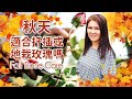 秋天適合扦插或地栽玫瑰嗎? 迎接玫瑰秋花的養護。Fall Rose Care Q&A