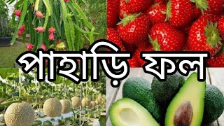 স্বাদে গন্ধে অনন্য পাহাড়ের বৈচিত্র্যময় ফল | সমতলে পাহাড়ি ফলের মেলা |