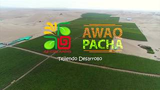 Agrícola Andrea - AWAQ PACHA: "Somos tejedores del desarrollo"