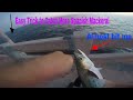 How to catch Spanish Mackerel at Skyway fishing pier (helpful trick)