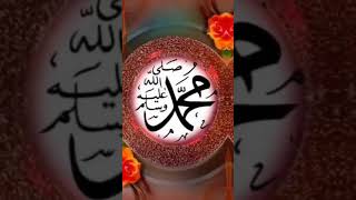 Short |Shorts feed |Kalim khan |Full HD* New Hajj  Naat "Meray AAQAﷺ | Hafiz Ahmed Raza Qadri |Naats
