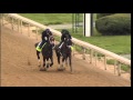 Palace Malice & Overanalyze work at Churchill Downs 4.27.13