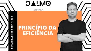 PRINCÍPIO DA EFICIÊNCIA