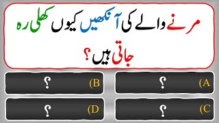 Islamic Common Sense Paheliyan in Urdu/Hindi | Dilchasp Islami Maloomat | General Knowledge Quiz#059