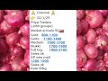 chennai and bangalore market onion price