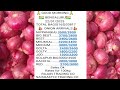 chennai and bangalore market onion price