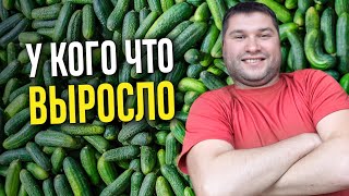 ЧТО ВЛИЯЕТ НА УРОЖАЙНОСТЬ? Итоги сбора урожая в 2024 году!