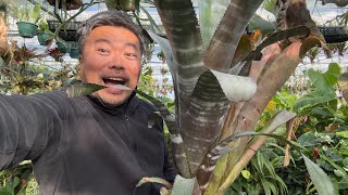 僕の好きな植物を紹介vol.1