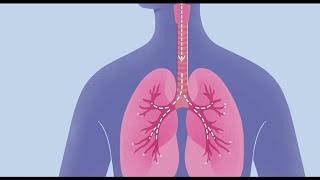How COVID-19 Affects Your Lungs