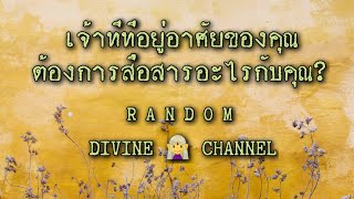 Random 🔮 เจ้าที่ที่อยู่อาศัยของคุณต้องการสื่อสารอะไร? กับคุณ#สิ่งศักดิ์สิทธิ์ #random