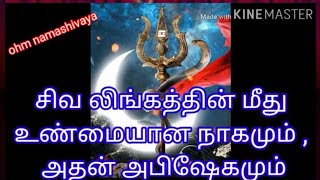 #சிவ லிங்கத்தின் மீது உண்மையான நாகமா? #latest sivan songs in tamil #sivan WhatsApp status in tamil