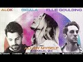 Alok x Sigala x Ellie Goulding - All By Myself (B-sensual Mix)