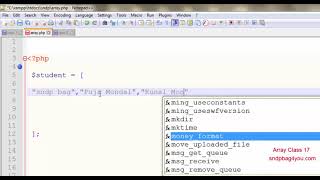 PHP array count values function by sndp bag