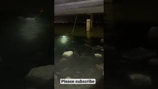 Night fishing for trout