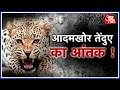 Aaj Subah: Sigh Of Relief For Pilibhit As Forest Department Cages Big Cat That Mauled To Death 6