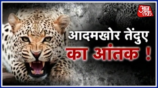 Aaj Subah: Sigh Of Relief For Pilibhit As Forest Department Cages Big Cat That Mauled To Death 6