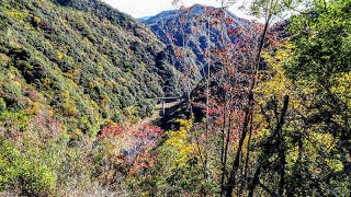 長門峡　滝橋・ツルマンリョウ・しゃくなげ岩・絶壁展望岩・雁の瀬の滝(美少年の滝)・阿武大橋、更に滝橋へ周回　山口県萩市