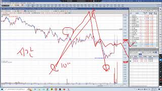[주식기초] 큰 수익을 낼 수 있는 종목 선정과 매집봉(#금양 #현대바이오랜드 #제노포커스 분석)