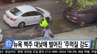 뉴욕 백주 대낮에 벌어진 ‘주먹질 강도’